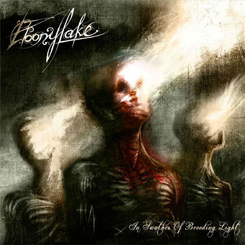 EBONYLAKE - In Swathes of Brooding Light - CD