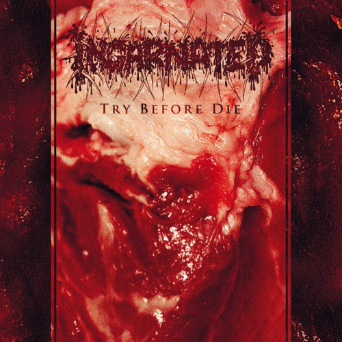 INCARNATED - Try Before Die - CD