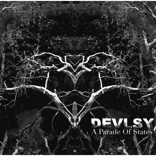 DEVLSY - A Parade of States - CD