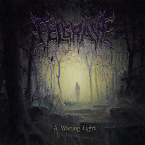FELGRAVE - A Waning Light - CD